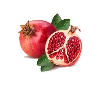 Pomegranate India