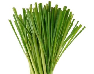 Lemon Grass