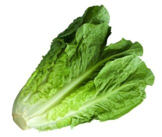 Lettuce Romain Local Cleaned