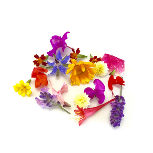 Edible Flowers Al Rizq Trading