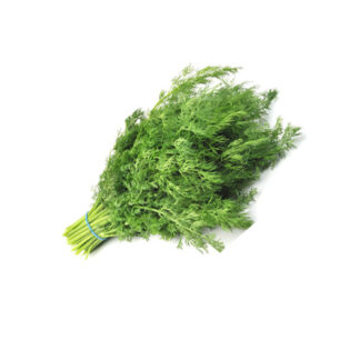 Herbs Dill Imported