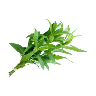 Herbs Tarragon Imported