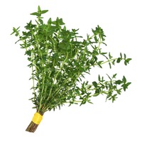 Herbs Thyme Imported 100g