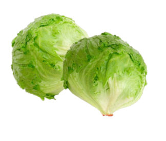 Ice Berg Lettuce Aus/Spain