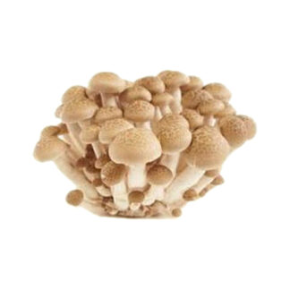 Mushroom Shemiji Brown Pkt