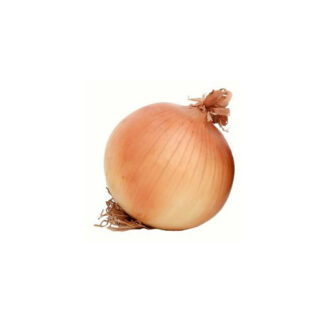 Onion Brown Local
