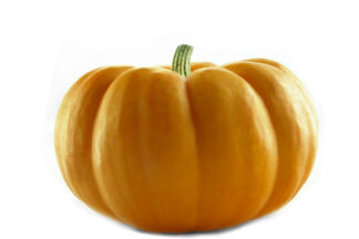 Pumpkin Yellow
