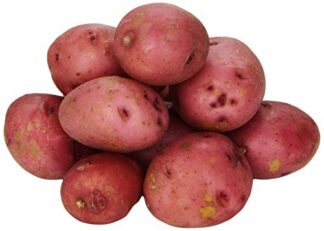 Potato Baby Red Imported