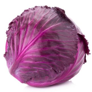 Cabbage Red Local