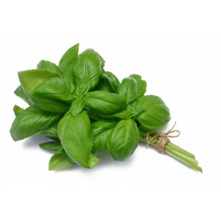 Herbs Basil Imported