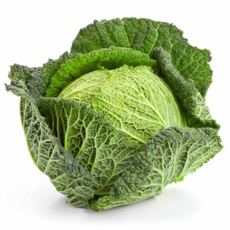 Cabbage Savoy Imported