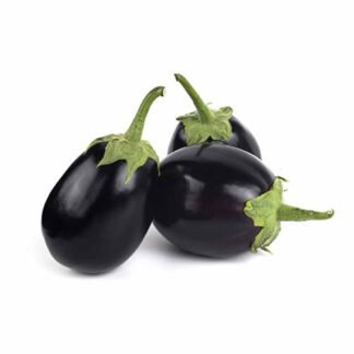 Egg Plant Small