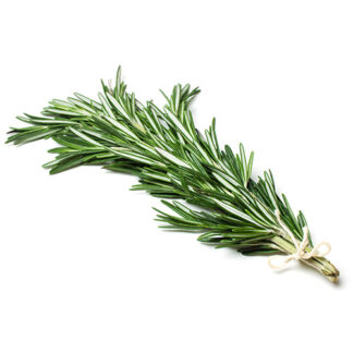 Herbs Rosemary Imported