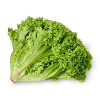 Lettuce Lolo Bionde Imported