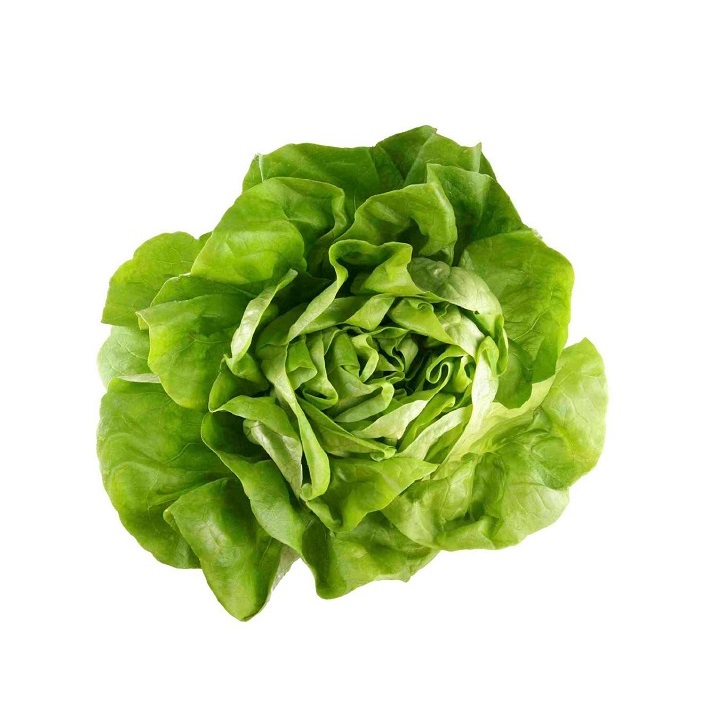 Lettuce Boston Imported / Local