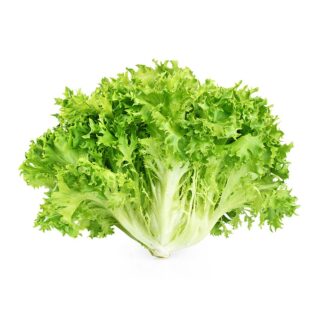 Lettuce Fraisee Imported