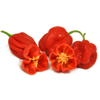Habareno Chilli Red
