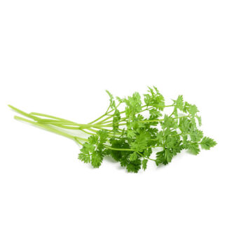 Herbs Chervil Imported