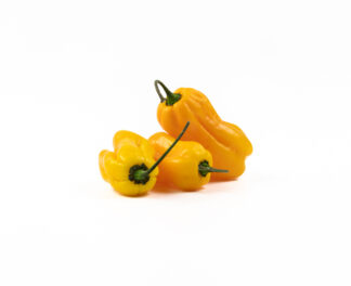 Habareno Chilli Yellow